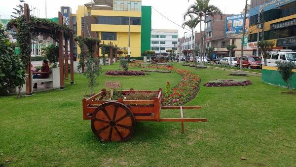 Imagen 101 Parque de la Municipalidad de Los Olivos foto