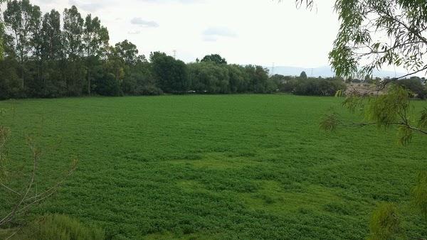 Imagen 1 Nuestra Señora de Lourdes foto
