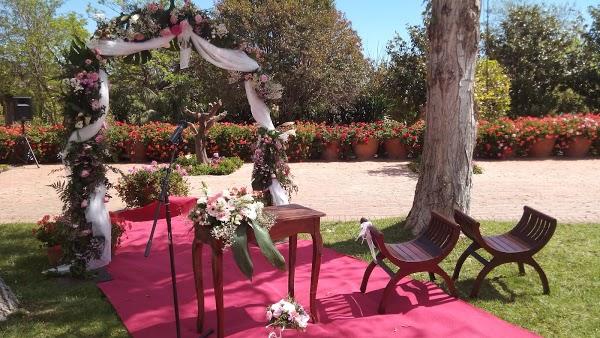 Imagen 50 Dolmen Industrial, s.l. foto