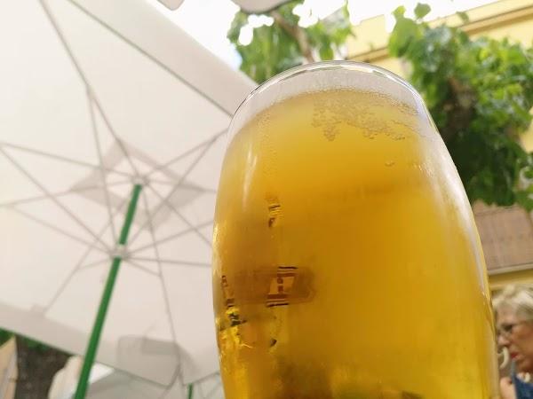 Imagen 21 Mudanzas Magens SL foto