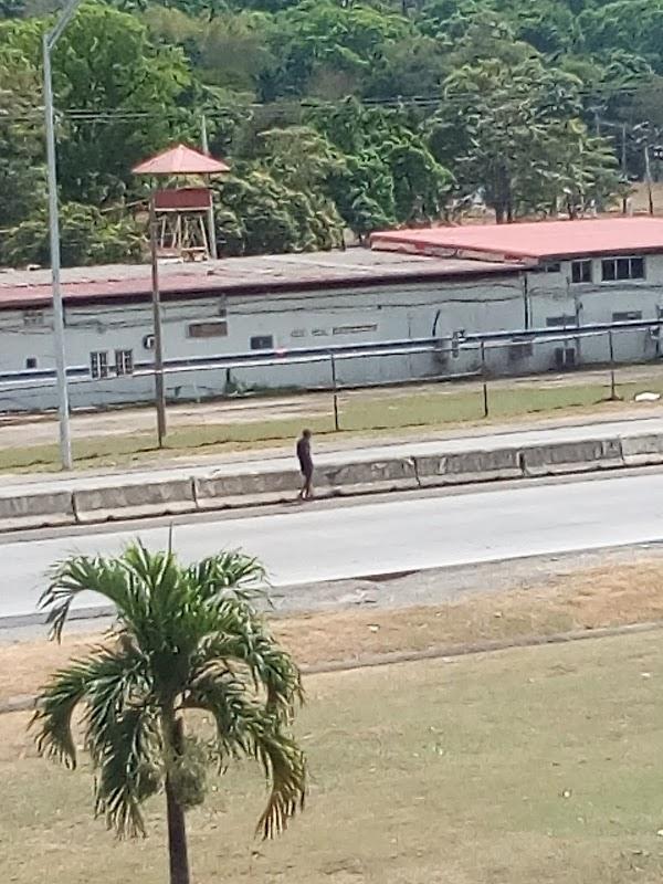 Imagen 64 GAVANOVA foto