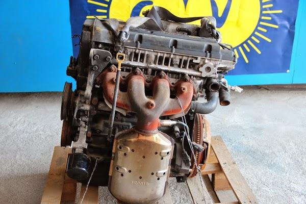 Imagen 69 GAVANOVA foto