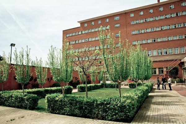 Imagen 46 Restaurante Tot Bo Gandia. foto