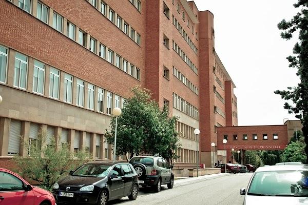 Imagen 48 Restaurante Tot Bo Gandia. foto