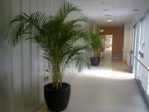 Imagen 27 Parque Natural de la Sierra de Collserola foto