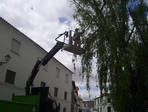 Imagen 38 Parque Natural de la Sierra de Collserola foto