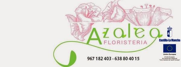 Imagen 40 Parque Natural de la Sierra de Collserola foto