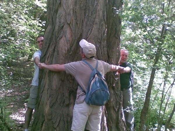 Imagen 5 Parque Natural de la Sierra de Collserola foto
