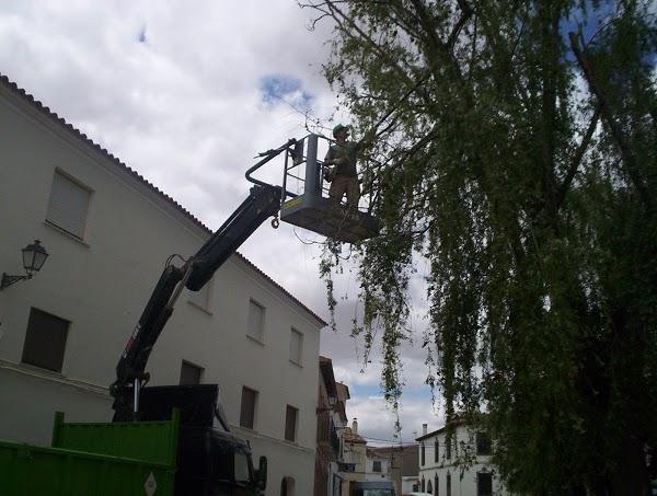 Imagen 48 Parque Natural de la Sierra de Collserola foto