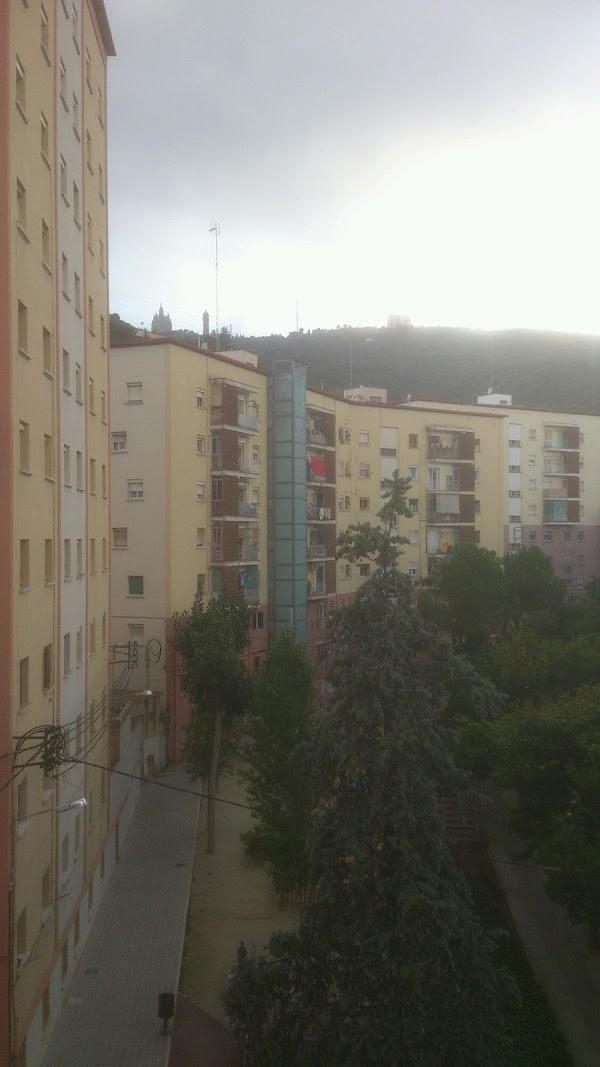 Imagen 7 Parque Natural de la Sierra de Collserola foto