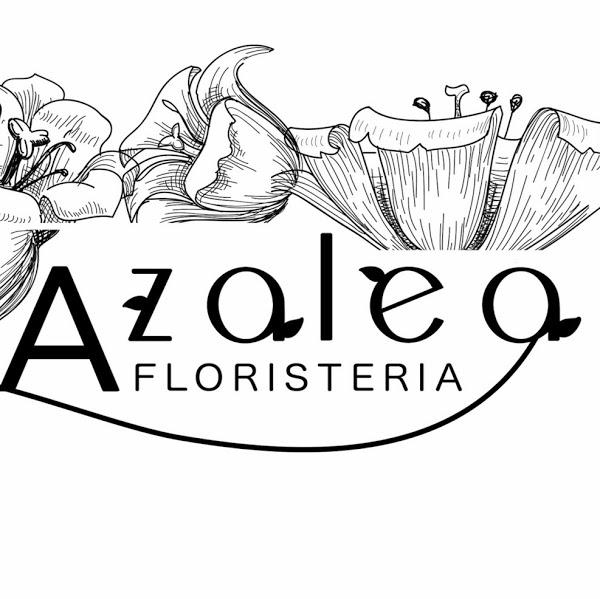 Imagen 71 Parque Natural de la Sierra de Collserola foto