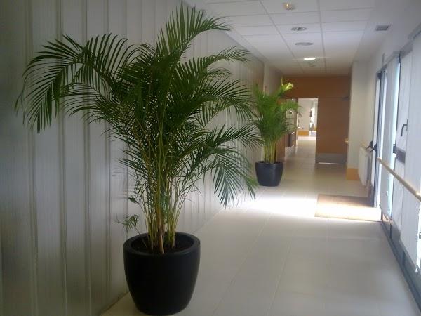 Imagen 79 Parque Natural de la Sierra de Collserola foto