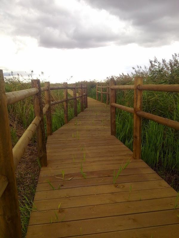 Imagen 88 Parque Natural de la Sierra de Collserola foto