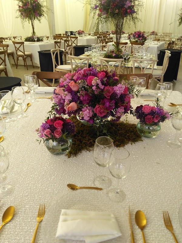 Imagen 45 Suraventura Turismo Activo foto