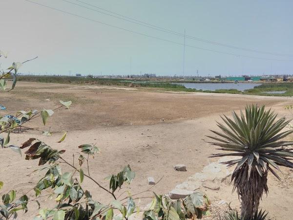 Imagen 44 Club de la Tercera Edad de la Albatalia foto