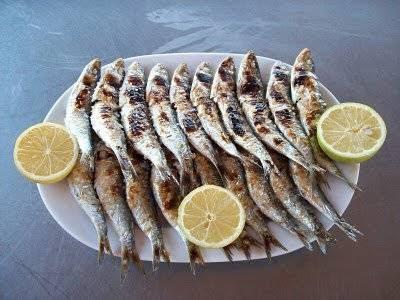 Imagen 13 Continental 2000, S.C. foto