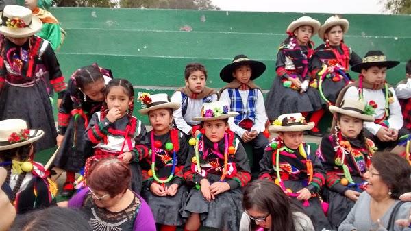 Imagen 18 Museo Municipal Ulpiano Checa foto