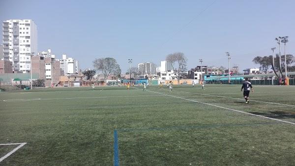 Imagen 25 Museo Municipal Ulpiano Checa foto