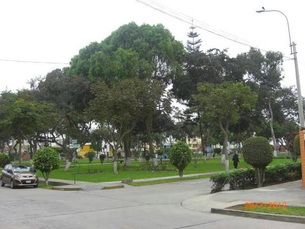 Imagen 4 Ayuntamiento de Carmona foto