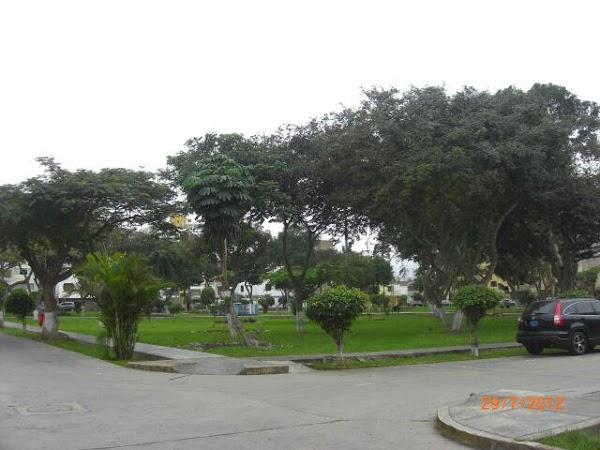Imagen 6 Flexelo SA foto