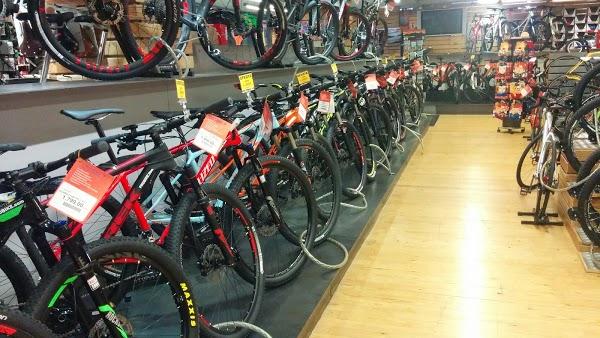 Imagen 146 Probike foto