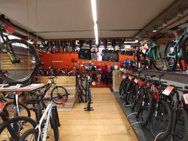 Imagen 202 Probike foto