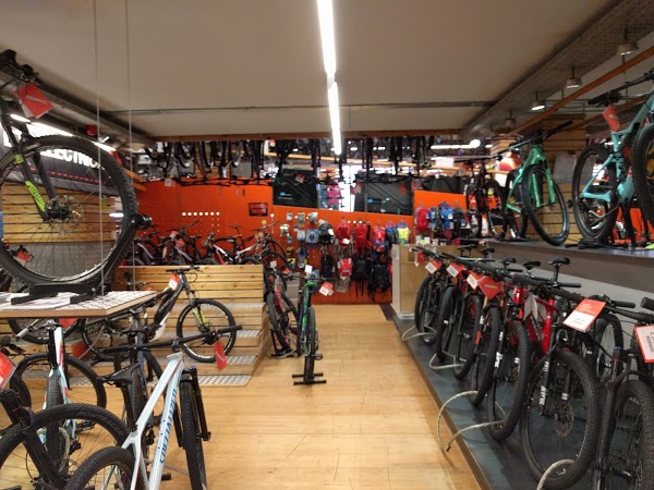 Imagen 246 Probike foto