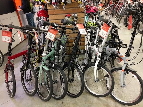 Imagen 61 Probike foto