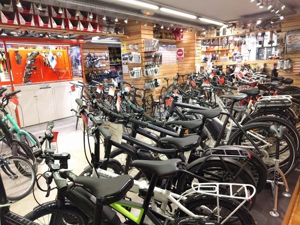 Imagen 89 Probike foto