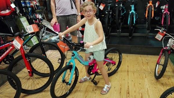 Imagen 98 Probike foto