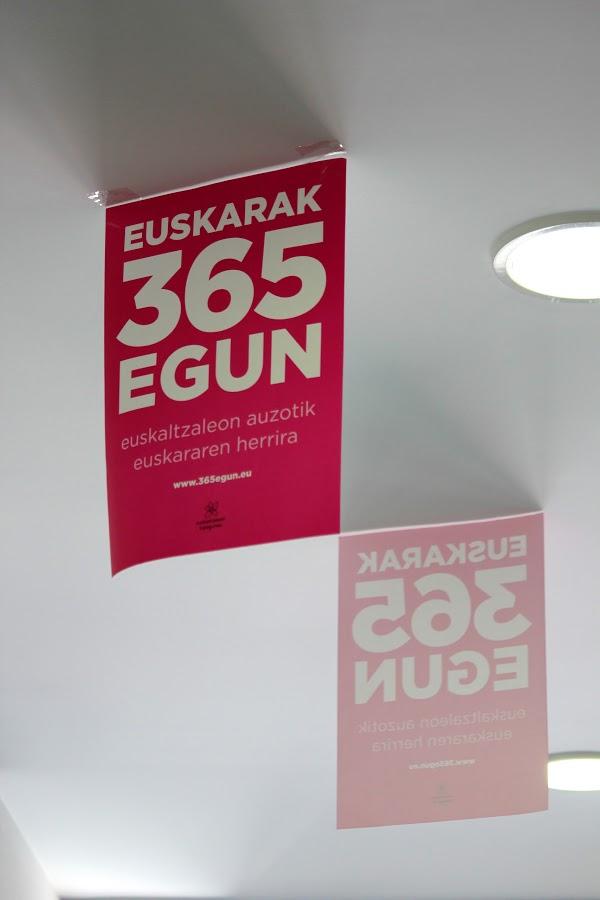 Imagen 8 Academia Andalucía Formación-Grupo Ecos Estepona foto