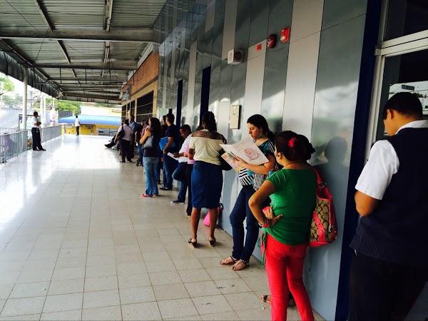 Imagen 13 Escuela Primaria Pradera Dorada foto