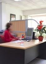 Imagen 16 Escuela Primaria Pradera Dorada foto