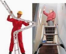 Imagen 14 Ainea Perfums S.L. foto