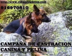 Imagen 2 Liverpool Provincia foto
