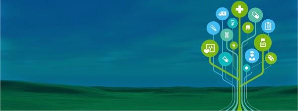 Imagen 13 Shangrila foto