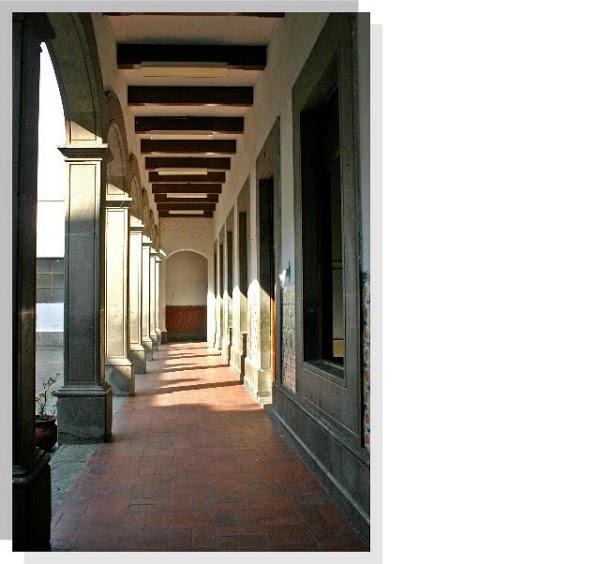 Imagen 64 Shangrila foto