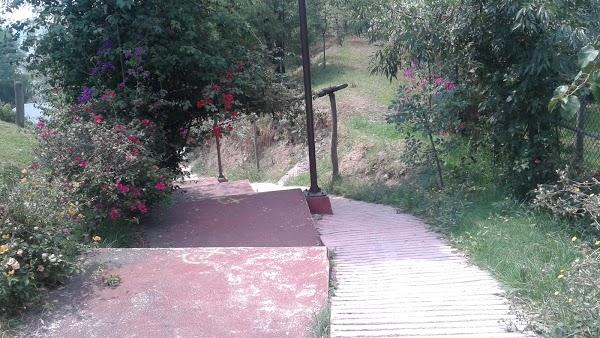 Imagen 58 Walmart Las Torres foto