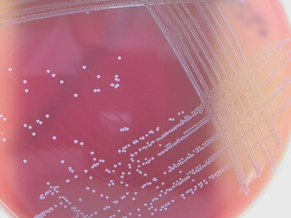 Imagen 1 Nikidom S.L. foto