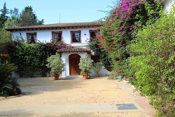 Imagen 6 Peluqueria Venus foto