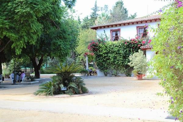 Imagen 10 Peluqueria Venus foto