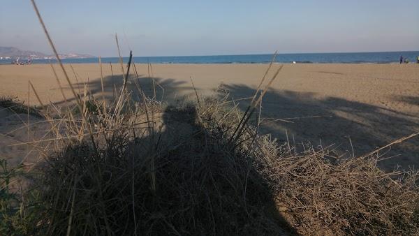 Imagen 56 Hospital Oconlogico abandonado, villaviciosa de odón foto