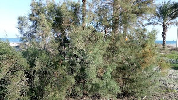 Imagen 57 Hospital Oconlogico abandonado, villaviciosa de odón foto