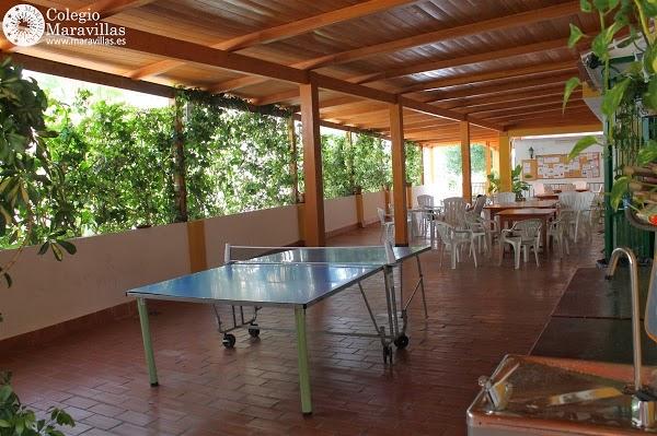 Imagen 14 Wingstop foto