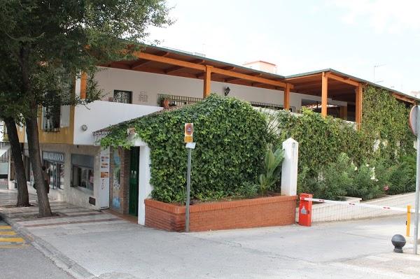 Imagen 18 Wingstop foto