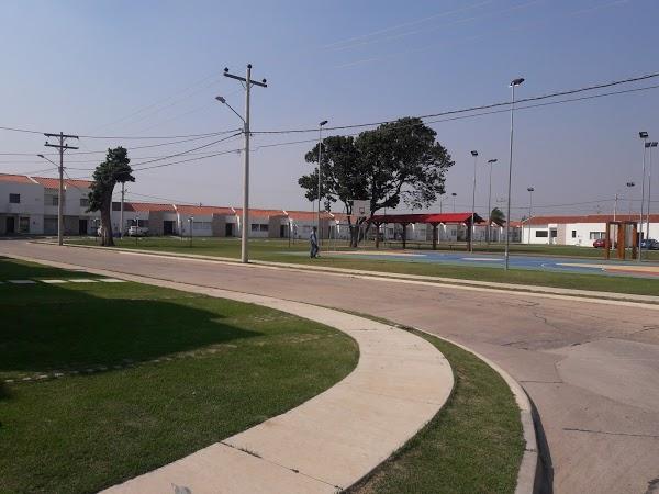 Imagen 44 Bardet S.A.U. foto