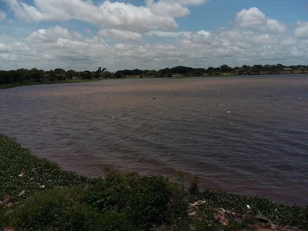 Imagen 45 Bardet S.A.U. foto