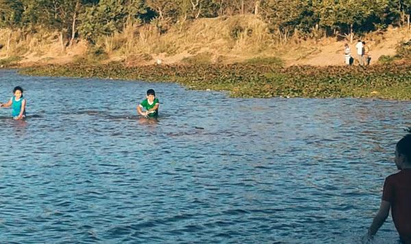 Imagen 49 Bardet S.A.U. foto