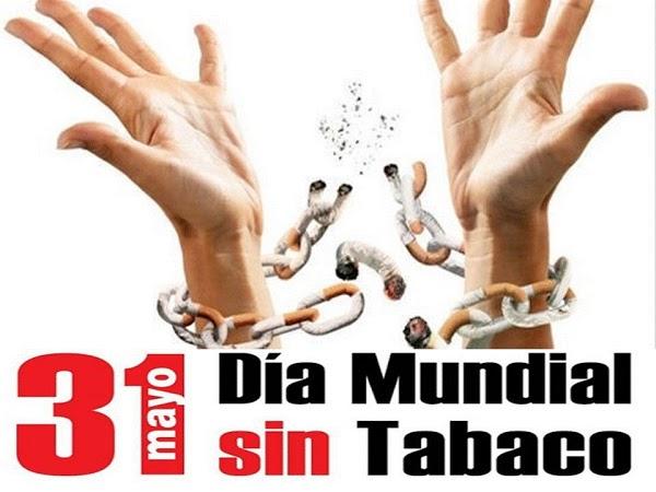 Imagen 33 Portabebes Afrodita y la hora del té foto
