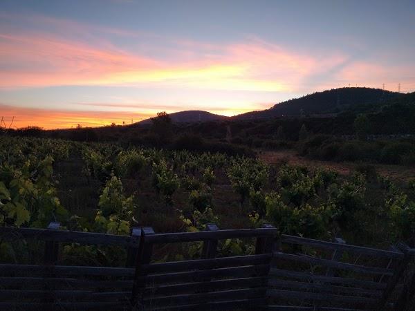 Imagen 125 Hotel Ultreia & wineshop foto